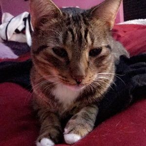 Meet your Posher, Fefelicia